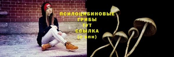 первитин Михайловск