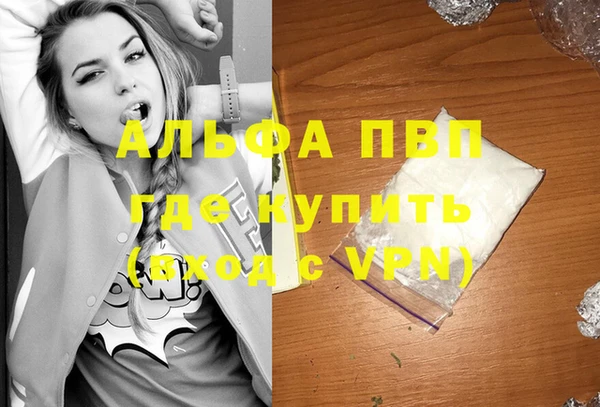 стафф Михайлов