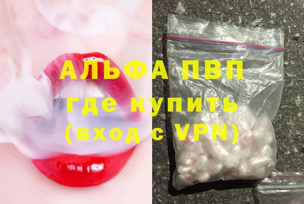 стафф Михайлов