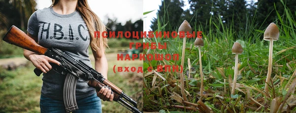 стафф Михайлов