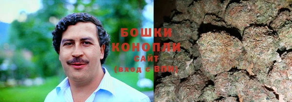 стафф Михайлов