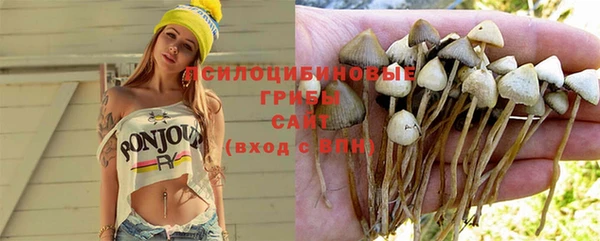 стафф Михайлов