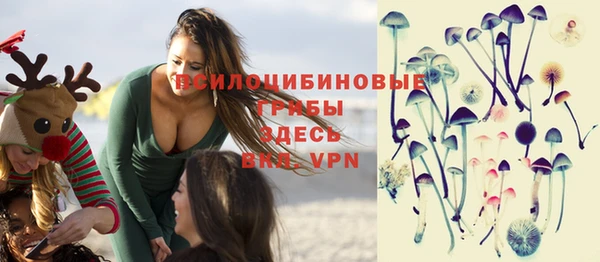стафф Михайлов